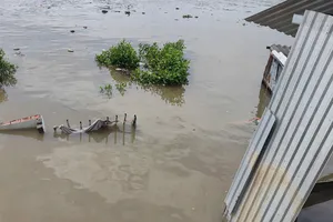 Sạt lở ở Cà Mau, 5 căn nhà trôi xuống sông