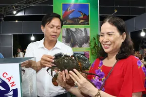 Cà Mau: Tập trung phát triển mô hình nuôi cua bền vững 