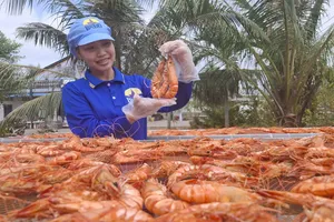 ĐBSCL: Nhộn nhịp sản xuất khô cá, tôm dịp Tết