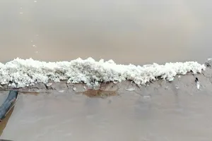 Cà Mau: Mưa trái mùa ảnh hưởng hoạt động sản xuất muối