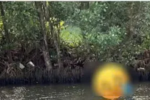 Cà Mau: Công an xác minh thi thể trẻ sơ sinh nổi trên sông