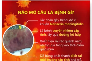 Cà Mau: Một trường hợp tử vong nghi mắc viêm não mô cầu