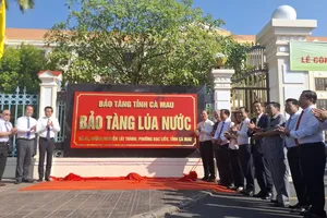 Cà Mau thành lập Bảo tàng Lúa nước, xây dựng biểu tượng ba hạt lúa cao 18m