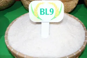 Gạo BL9 được trao giải nhất cuộc thi Gạo ngon đồng bằng sông Cửu Long lần thứ I