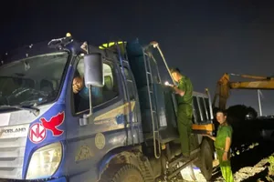 Cà Mau: Phát hiện nhiều vụ khai thác đất trái phép