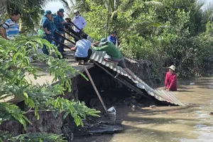 Cà Mau: Liên tiếp xảy ra 3 vụ sạt lở trong đêm