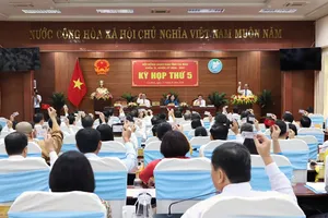 Cà Mau: Cấp miễn phí sách giáo khoa cho học sinh tiểu học từ năm học 2026 - 2027