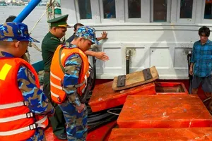 Xử lý tàu cá vận chuyển 40.500 lít dầu D.O không rõ nguồn gốc 