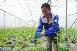 Saigon Co.op chú trọng kiểm soát chất lượng từ sản xuất, thu hoạch đến phân phối (ẢNH: HỒNG CHÂU)