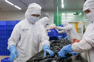 Công nhân Công ty Cofidec sơ chế nguyên liệu trên dây chuyền sản xuất thực phẩm (ẢNH: HOÀNG HÙNG)
