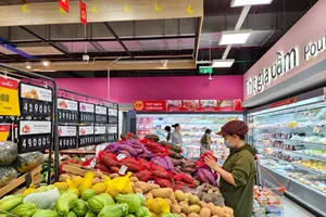 Các chương trình giảm giá được triển khai liên tục nhằm kích cầu tiêu dùng (ẢNH: KHÁNH HẠ)