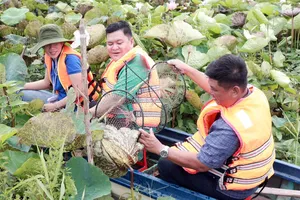 Du khách trải nghiệm đánh bắt thủy sản mùa nước nổi tại xã Phong Mỹ, tỉnh Đồng Tháp (ẢNH: PHONG MỸ)