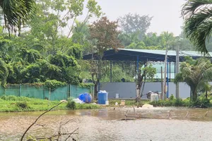 Một hồ chứa nước mặt để xử lý phục vụ nước sinh hoạt tại phường Sóc Trăng, TP Cần Thơ (ẢNH: TUẤN QUANG)