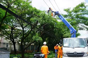 Nhân viên ngành điện TPHCM xử lý mé nhánh cây xanh để đảm bảo an toàn điện trong mùa mưa, bão
