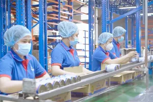 Sản xuất các sản phẩm từ dừa của Công ty TNHH chế biến dừa Lương Quới