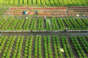 Diện mạo nông thôn ở Bến Tre được thay đổi từng ngày, với nhiều mô hình kinh tế giúp người dân thoát nghèo bền vững Ảnh: CTV