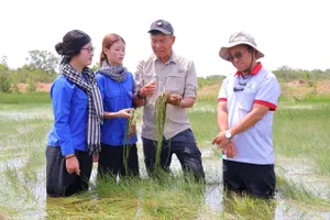 TS Trần Triết (thứ ba, từ trái qua) kiểm tra thực địa sự phục hồi của quần xã năng kim tại Vườn Quốc gia Tràm Chim