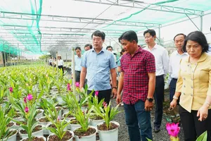 Bí thư Tỉnh ủy Đồng Tháp Lê Quốc Phong (bìa trái) trực tiếp kiểm tra, thăm hỏi bà con làng hoa Sa Đéc