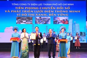 Ông Nguyễn Thanh Nhã, Phó Tổng giám đốc EVNHCMC đại diện Tổng công ty nhận giải thưởng 