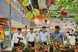 Vải thiều Lục Ngạn được tiêu thụ tại hệ thống siêu thị Saigon Co.op
