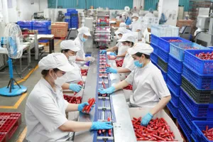 Công nhân vận hành dây chuyền chế biến thực phẩm tại Công ty Vissan, TPHCM (ẢNH: HOÀNG HÙNG)