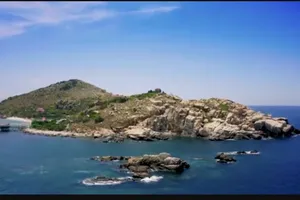 Công ty Yến Sào Khánh Hòa: Một năm nổi bật, tạo tiền đề cho sự phát triển bền vững