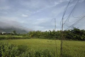 Tỉnh Khánh Hòa quyết liệt ngăn chặn săn bắt tận diệt, bảo vệ đàn chim yến quý giá