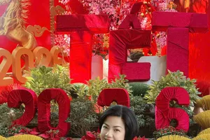 Hội Xuân 2026 – Tết Việt Đoàn Viên: Lan tỏa không gian văn hóa Tết Việt tại Einstein School Vũng Tàu