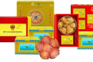 Từ vụ yến giả tại Tây Ninh đến vụ khởi tố vì vi phạm bản quyền: Tiếng chuông cảnh tỉnh!