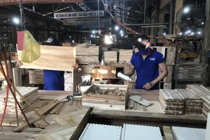 Ngành cao su phát triển kinh tế biên giới - Bài 2: Chuỗi liên kết bền vững từ cây cao su