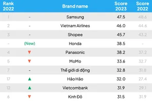 Ảnh: Nguồn từ Decision Lab