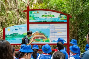 Giáo viên chia sẻ về vòng tuần hoàn của nước và thí nghiệm Mizuiku