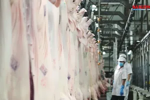 Vissan tăng lượng hàng cung ứng tết, giá ổn định