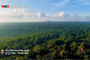 Hành trình kết nối xanh: Biểu tượng mới cho du lịch xanh của TPHCM