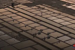 Nghề làm muối ở Sa Huỳnh