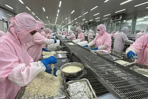 Dây chuyền sản xuất tại Nhà Máy Cofidec