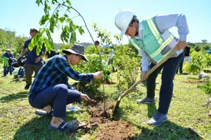 Coteccons tổ chức trồng 11.777 cây bản địa tại Quảng Trị