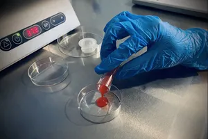 Phác đồ điều trị hiếm muộn của Việt Nam được giới thiệu tại hội nghị khoa học quốc tế