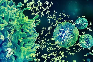 Virus HPV. Nguồn Science Visuals