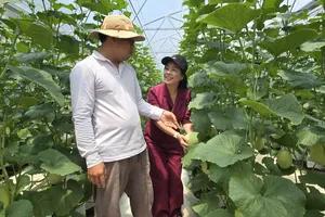 Ông Huỳnh Thanh Tâm giới thiệu mô hình trồng dưa lưới trong nhà màng tại xã Mỹ An. Nguồn vốn hỗ trợ từ Quỹ cộng đồng David Dương giúp gia đình ông mở rộng sản xuất và áp dụng kỹ thuật canh tác mới