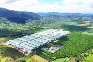 Các dự án xanh đang được quan tâm và đồng hành từ hệ thống ngân hàng