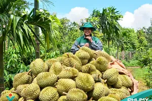Tác phẩm tham gia Triển lãm ảnh nghệ thuật “Nữ hoàng của đại ngàn xanh”