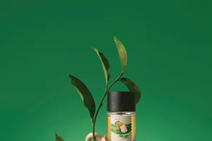 Kể chuyện Việt Nam bằng hương thơm