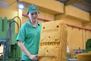 Công nhân bên dây chuyền đóng gói mủ cao su xuất khẩu