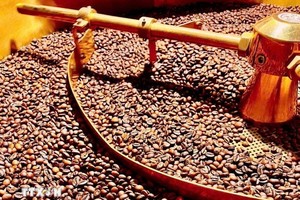 越南咖啡行业努力应对欧盟防止森林砍伐新规。图自越通社