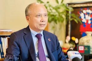 越南驻法国前大使丁全胜（图自越通社）