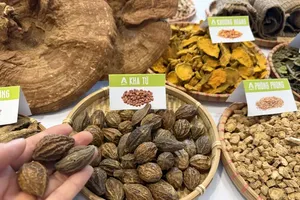 拟扩大医保支付范围的传统医药目录。图：玉蓉