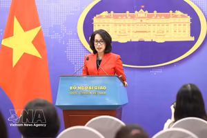 越南外交部发言人范秋姮。图自越通社