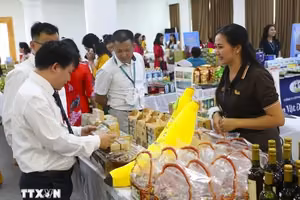 活动现场。 图自越通社