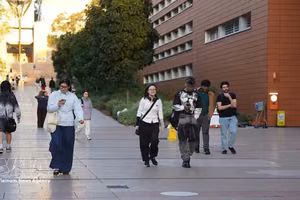 附图 。图自越通社